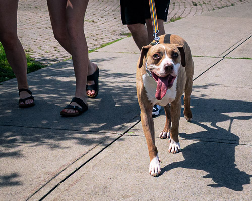 Lake George, NY - Jun 2024